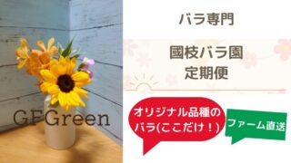 バラ好き必見「バラの定期便」あの國枝バラ園の高品質なバラが定期便で楽しめる！ 